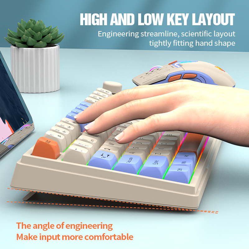 Dual-Mode 2.4G Bluetooth Draad - Gaming Keyboard Ergonomic recensie en prijs